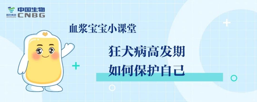 警惕！狂犬病高发期来了